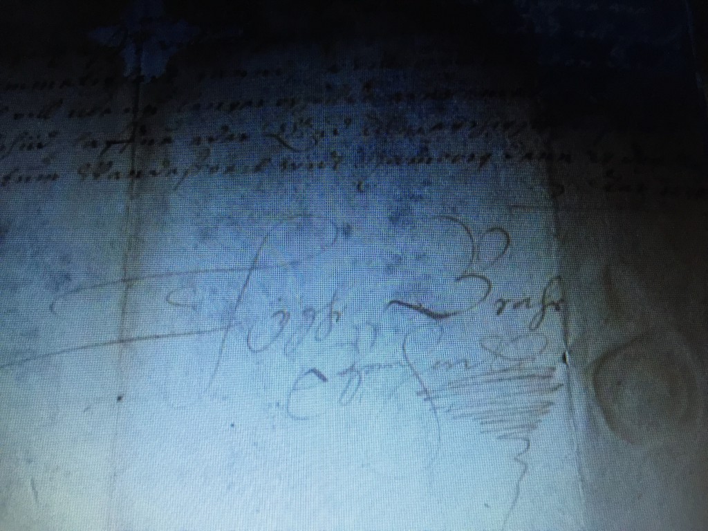Tycho Brahes namnteckning 